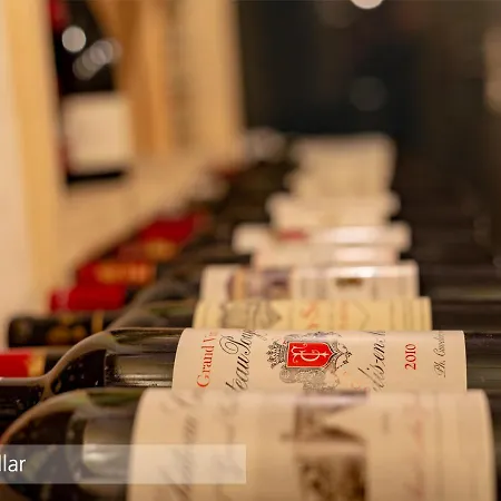 Lenkerhof Gourmet - Relais & Chateaux 5* 伦克